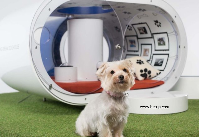 Samsung-Dog-House.jpg
